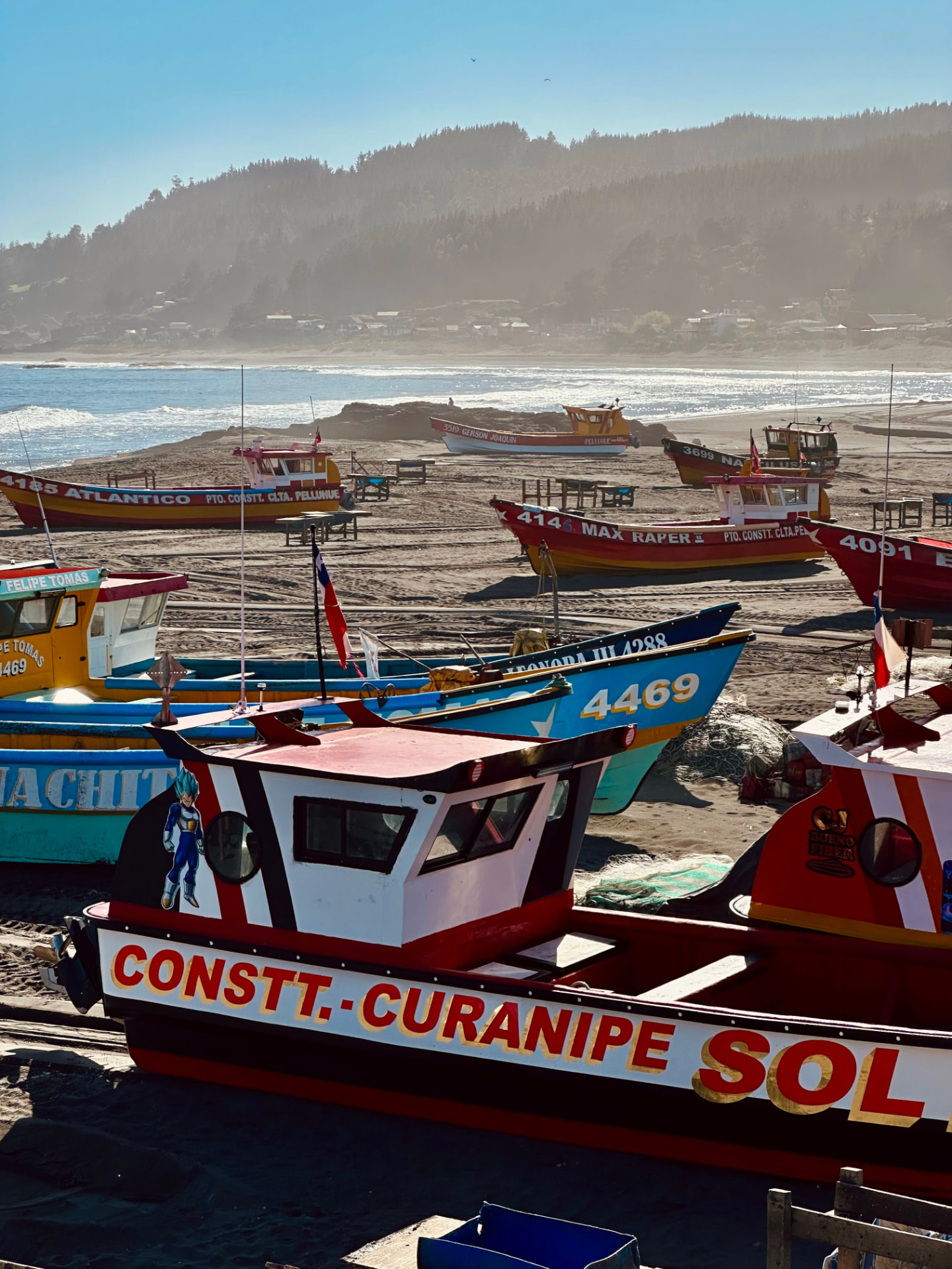 Botes de pescadores en Curanipe