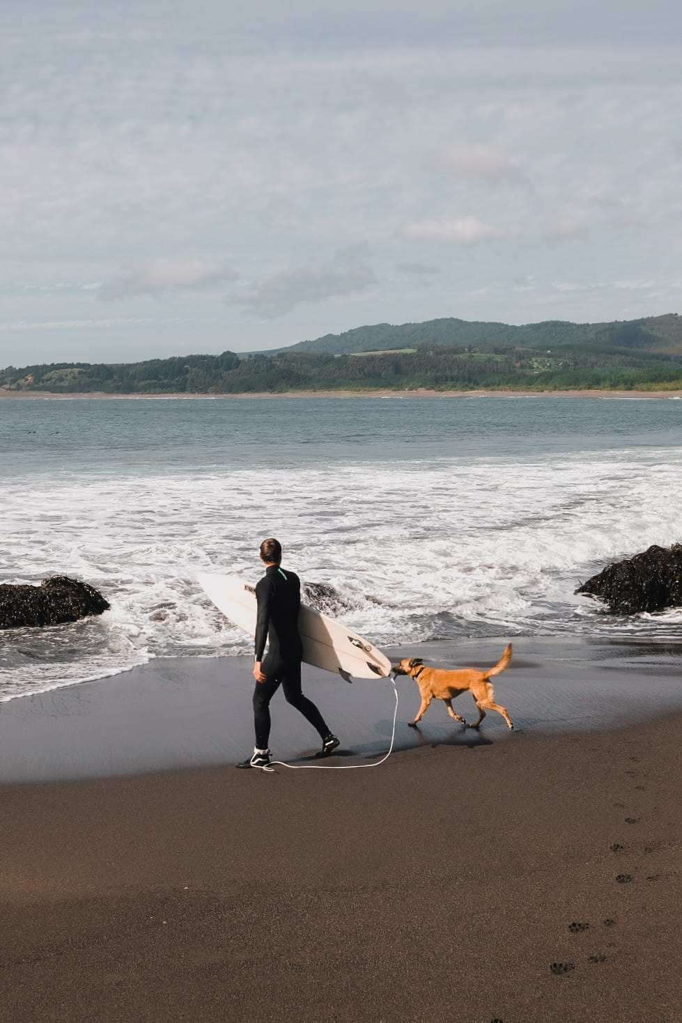 Surfista caminando con su perro