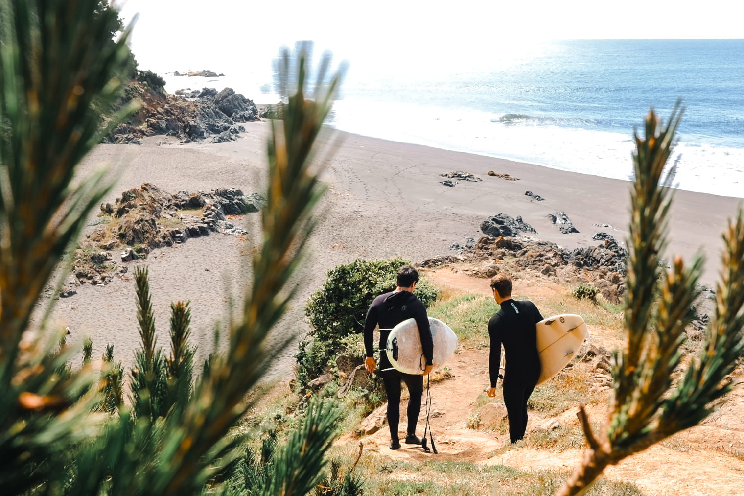 Surfistas bajando al mar por el sendero