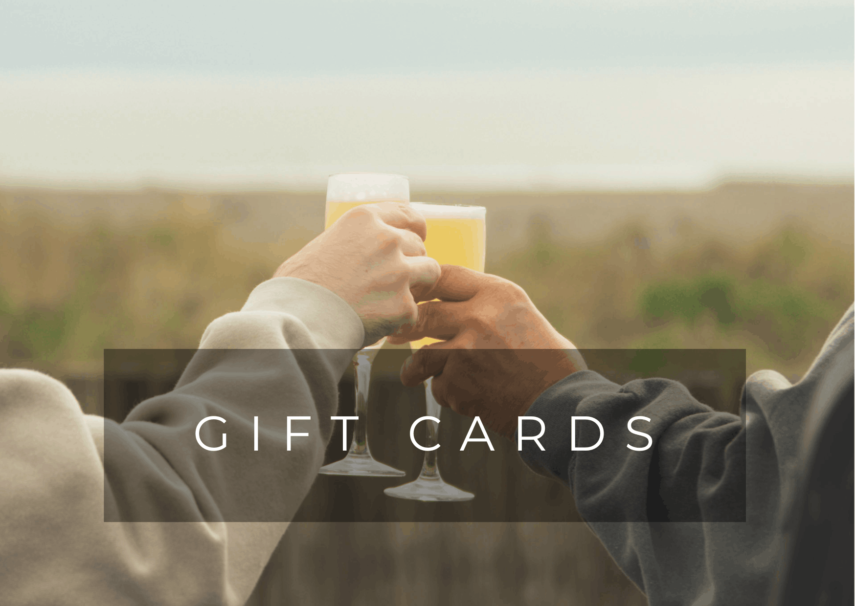 Gift cards Hotel Punta Sirena