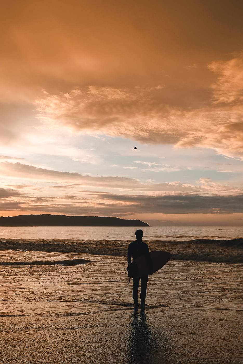 Surfista al atardecer en la orilla